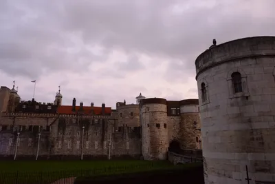 DSC_5681 (Large).JPG